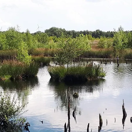 Сasa de vacaciones Haus Am Moor