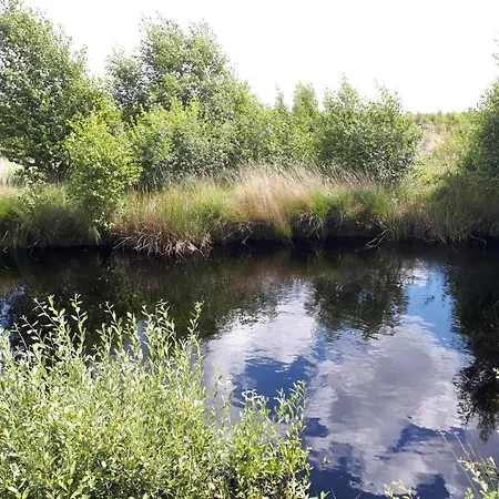 Haus Am Moor Сasa de vacaciones Rehden
