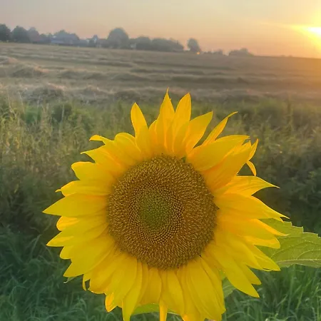Feriehus Haus Am Moor