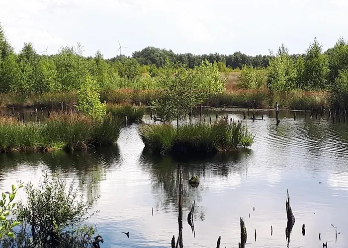Ferienhaus Haus Am Moor