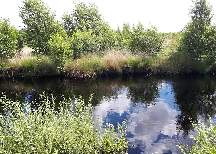 Haus Am Moor Ferienhaus Rehden