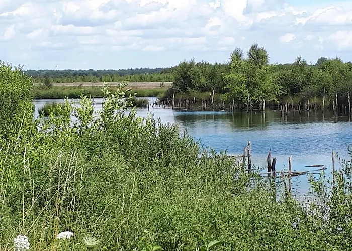 Haus Am Moor Ferienhaus *